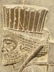 Warrior detail (35cm), Persepolis