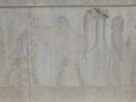 Camel tribute, Persepolis
