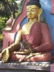 Swoyambhunath: Buddist monkey